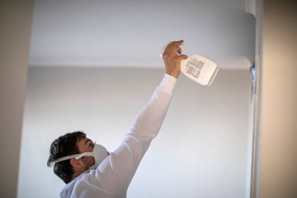 Best Black Mold Remediation in Grafton, OH